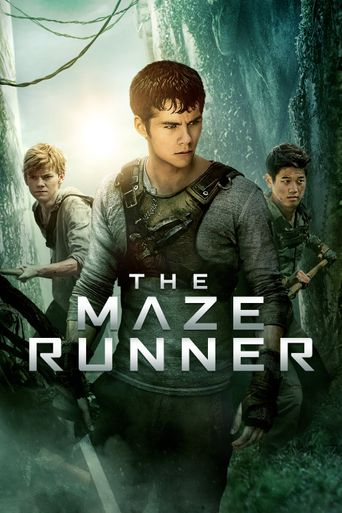  The Maze Runner Poster