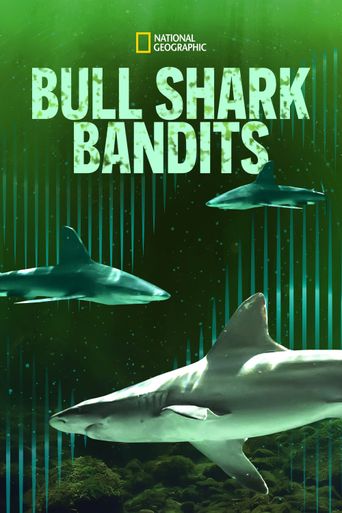  Bull Shark Bandits Poster