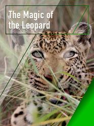  The Magic of the Leopard Poster