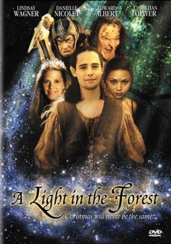  A Light in the Forest Poster