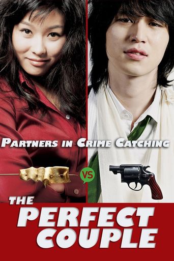  The Perfect Couple Poster