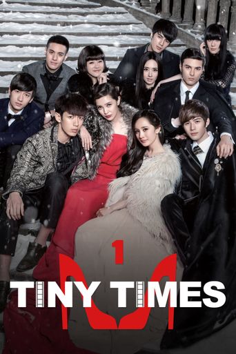  Tiny Times Poster
