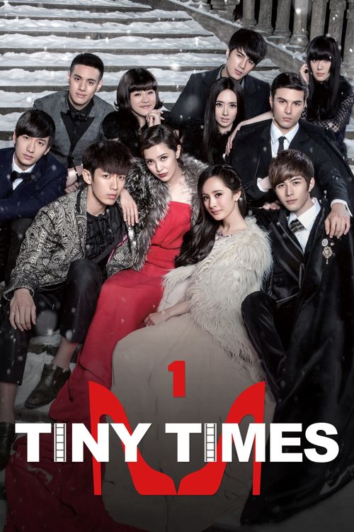 Tiny Times Poster