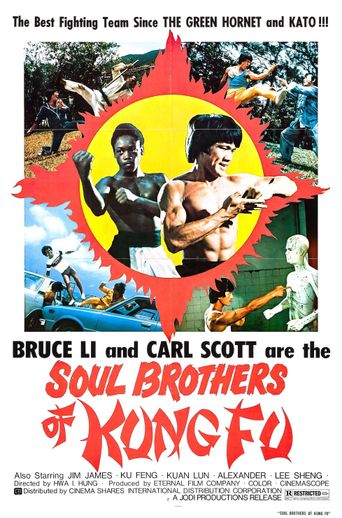  Soul Brothers of Kung Fu Poster