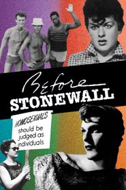  Before Stonewall Poster