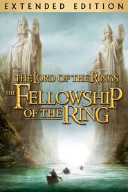  The Lord of the Rings: The Fellowship of the Ring - Extended Edition Poster