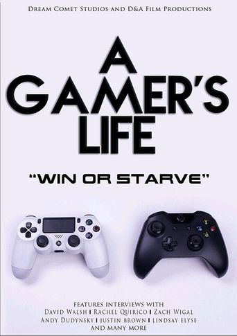  A Gamer's Life Poster