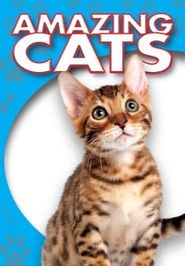  Amazing Cats Poster