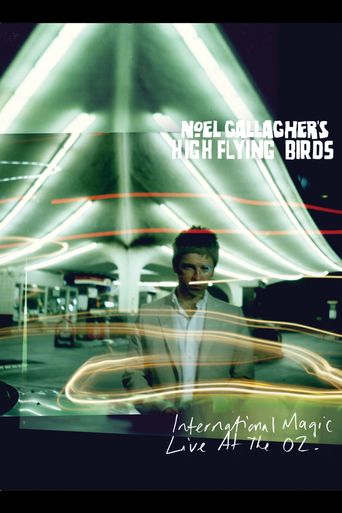  Noel Gallagher's High Flying Birds Live Poster
