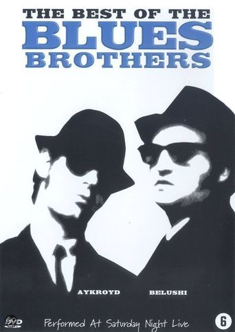  The Best of the Blues Brothers Poster