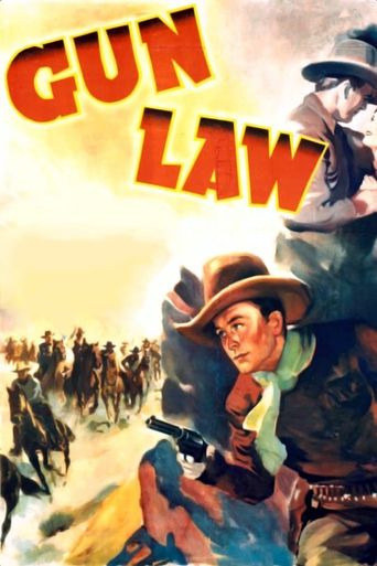  Gun Law Poster