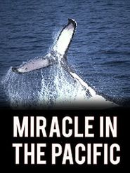  Miracle in the Pacific Poster