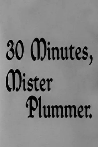 30 Minutes, Mister Plummer Poster