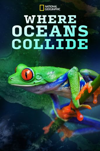  Where Oceans Collide Poster