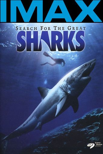  Search for the Great Sharks Poster