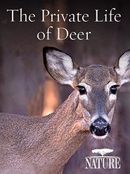  The Private Life of Deer Poster