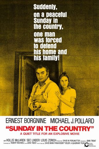  Sunday in the Country Poster