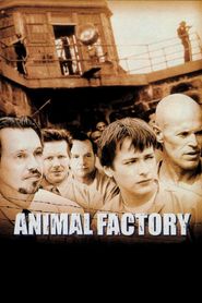  Animal Factory Poster