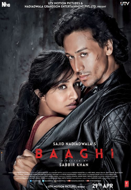 Baaghi 2 movie 2025 watch online