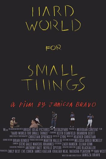  Hard World for Small Things Poster