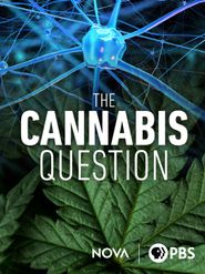  The Cannabis Question Poster