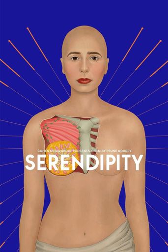  Serendipity Poster
