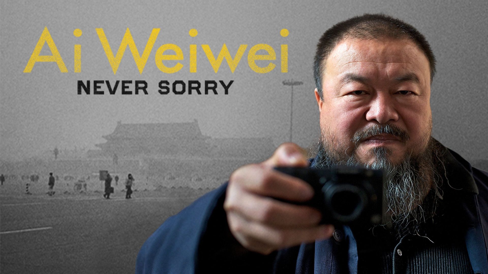Ai Weiwei: Never Sorry Backdrop