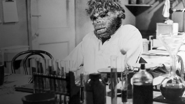The Neanderthal Man Backdrop