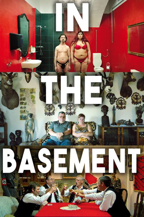 In the Basement Poster