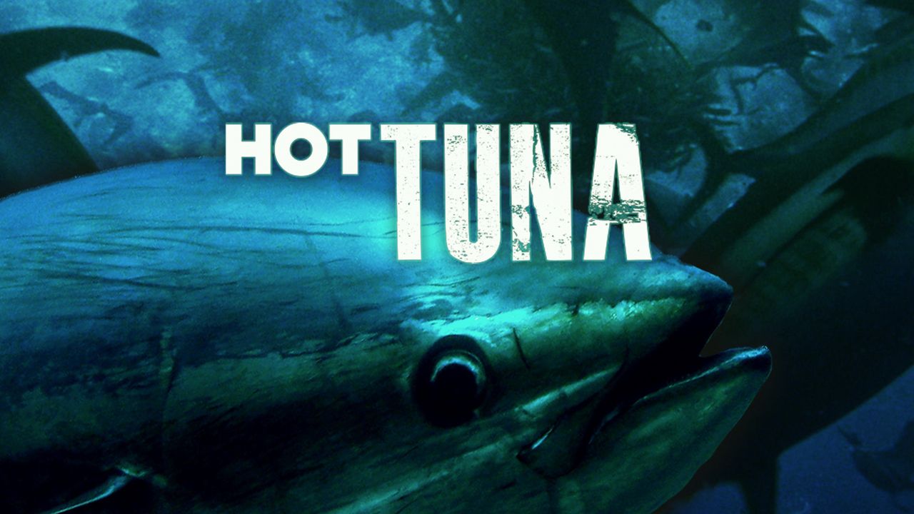 Hot Tuna Backdrop