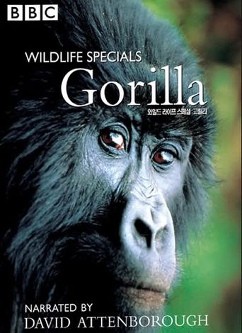  Gorilla Revisited with David Attenborough Poster