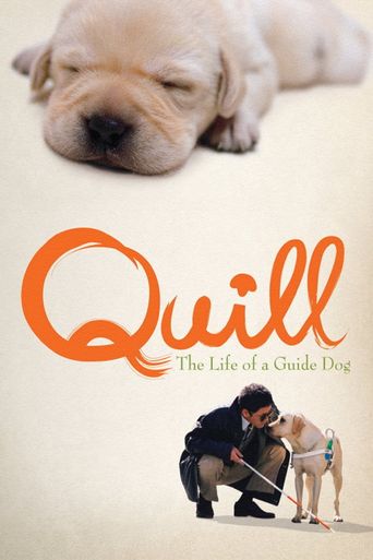  Quill: The Life of a Guide Dog Poster