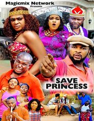  Save the Princess Poster