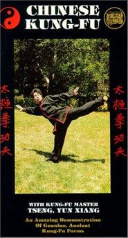  Shaolin Long Arm Poster
