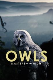  Owls: Masters of the Night Poster