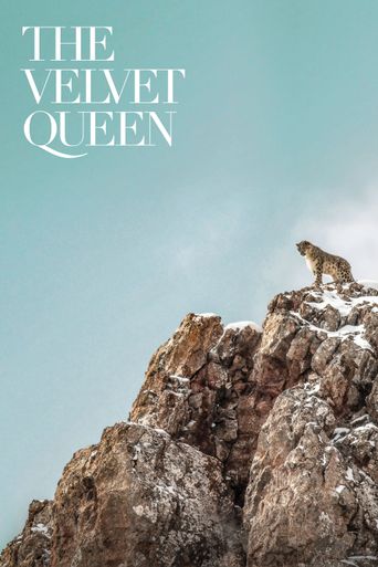  The Velvet Queen Poster