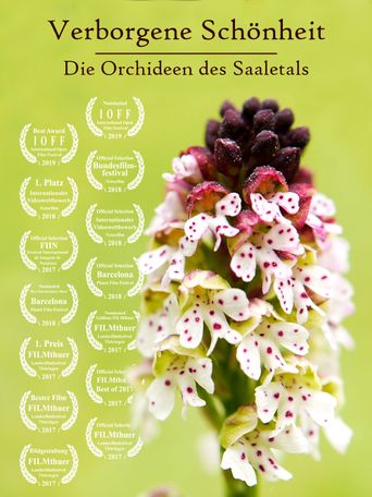  Verborgene Schönheit: Die Orchideen des Saaletals Poster