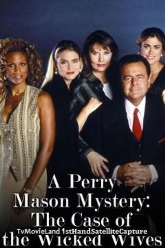  A Perry Mason Mystery: The Case of the Wicked Wives Poster