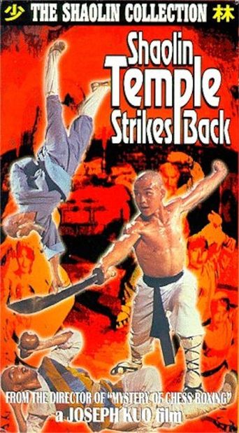  Shaolin Temple Strikes Back Poster