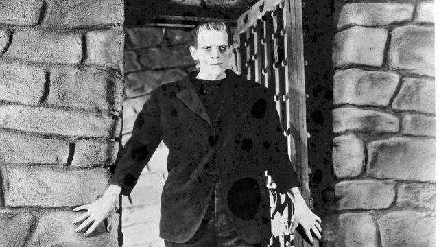 The Horror of It All Backdrop