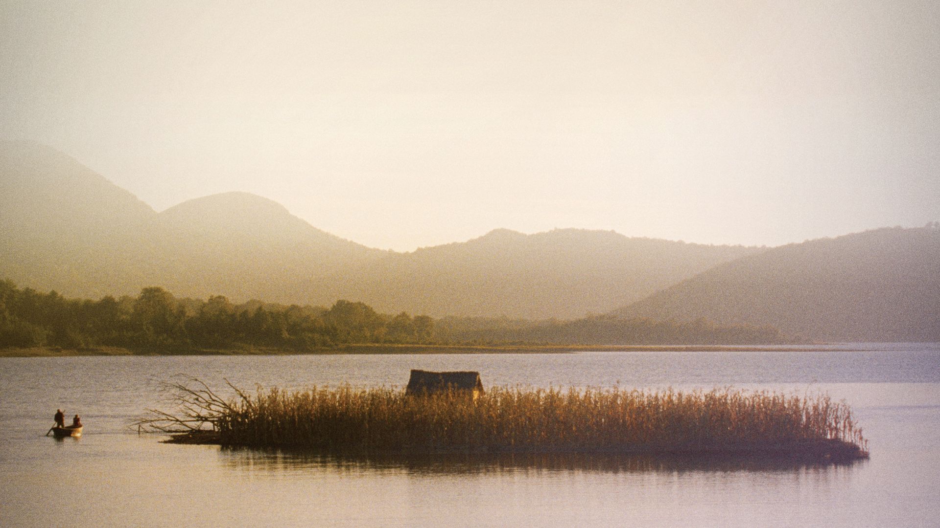 Corn Island (2014) Where to Watch It Streaming Online Reelgood