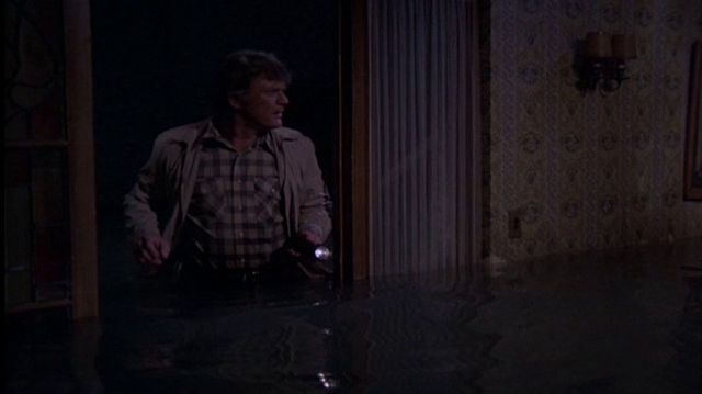 Flood! Backdrop