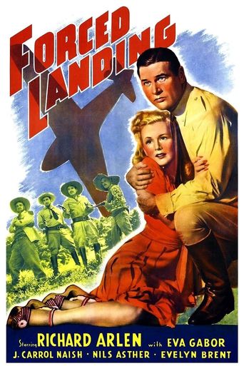  Forced Landing Poster