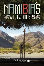  Namibia's Wild Wonders Poster