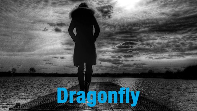Dragonfly Backdrop