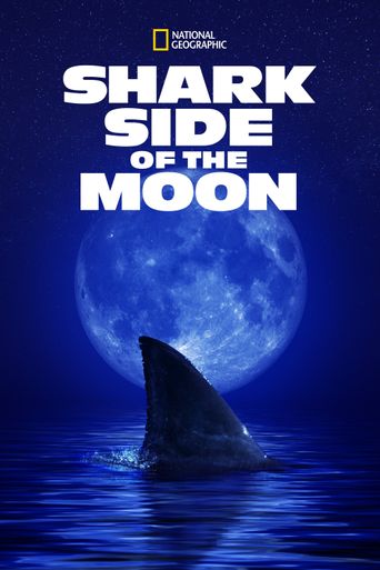  Shark Side of the Moon Poster