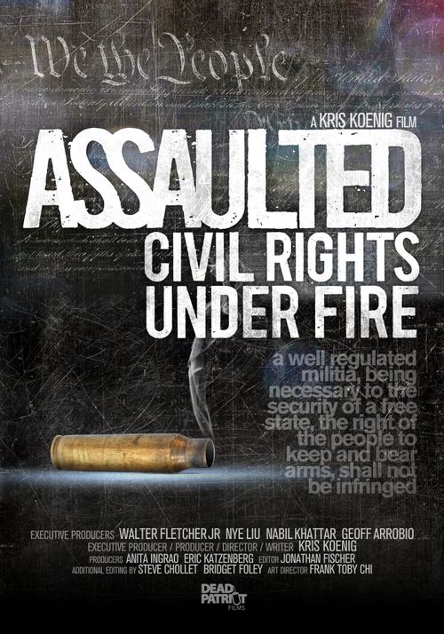 Assaulted: Civil Rights Under Fire Poster