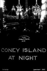  Coney Island at Night Poster