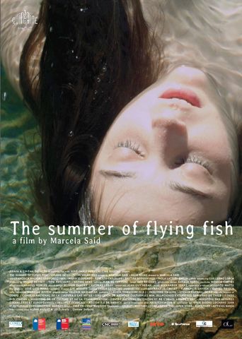  The Summer of Flying Fish Poster