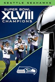 Super Bowl XLVIII Poster
